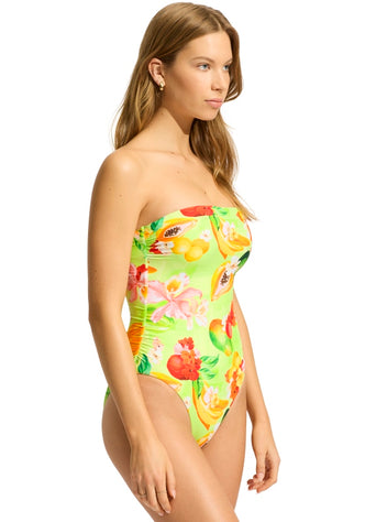 Tropique DD Bandeau Swimsuit